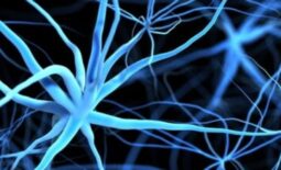 1400x300-neuro-banner