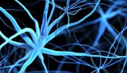 1400x300-neuro-banner
