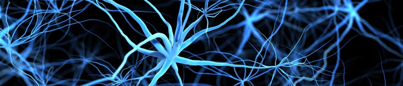 1400x300-neuro-banner