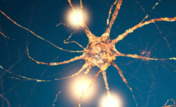 banner-01