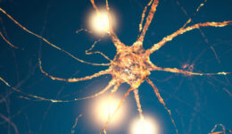 banner-01