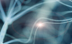 neuro-blog-banner