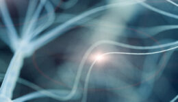 neuro-blog-banner