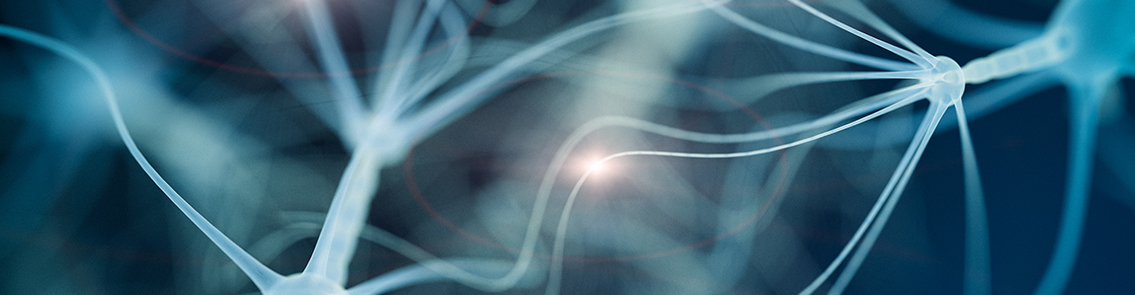 neuro-blog-banner